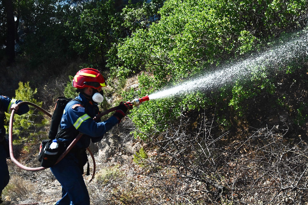 Συναγερμός για φωτιά στον Μαραθώνα: Στην περιοχή Αγία Μαρίνα – Ήχησε το 112