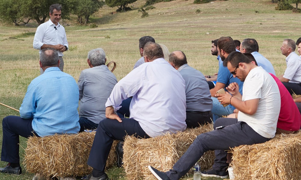 Σανό… Εδώ το καλό σανό, λέγετε