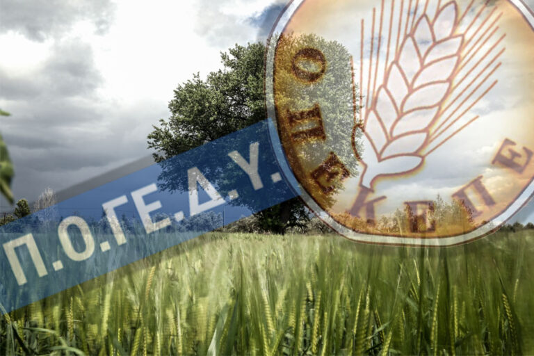 ΠΟΓΕΔΥ: Η ευθύνη (για τον ΟΠΕΚΕΠΕ) βαρύνει συγκεκριμένα πρόσωπα