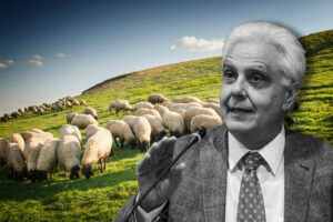 Από σαλάτα σε… Σαλάτα
