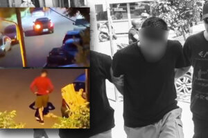 Θεσσαλονίκη: Ελεύθερος με περιοριστικούς όρους ο 34χρονος που κλώτσησε και πάτησε με Ι.Χ. ένα γατάκι (Video)