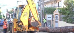Κηφισιά: Πτώση δέντρου σε κολώνα της ΔΕΗ &#8211; Ζημιές σε αυτοκίνητο