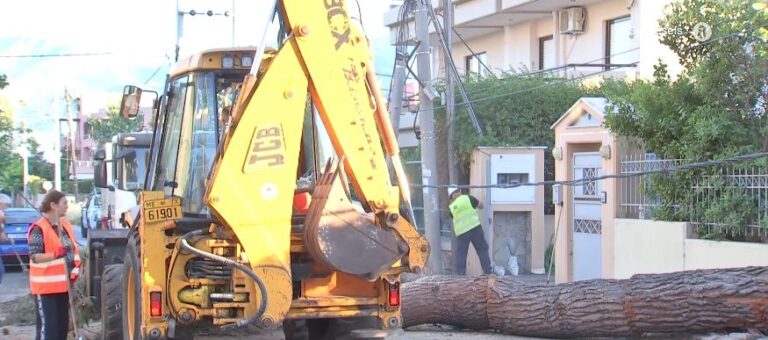 Κηφισιά: Πτώση δέντρου σε κολώνα της ΔΕΗ – Ζημιές σε αυτοκίνητο