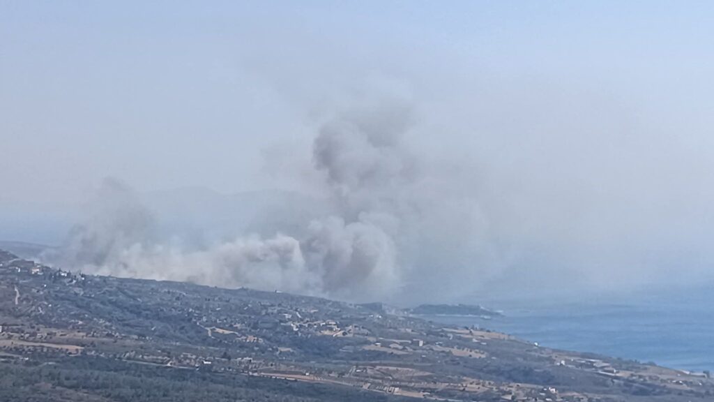 Φωτιά στη Λακωνία: Μήνυμα 112 για εκκένωση του Παλαιοκάστρου – «Απομακρυνθείτε προς Νεάπολη» (Video)