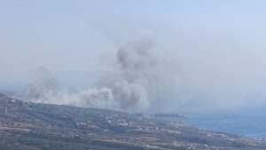 Φωτιά στη Λακωνία: Μήνυμα 112 για εκκένωση του Παλαιοκάστρου &#8211; «Απομακρυνθείτε προς Νεάπολη» (Video)