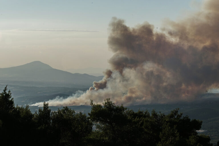 Πυροσβεστική: 58 αγροτοδασικές πυρκαγιές το τελευταίο 24ωρο – Οι 7 είναι σε εξέλιξη