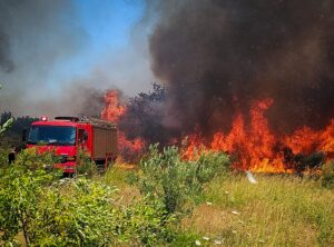 Πολύ υψηλός κίνδυνος πυρκαγιάς την Τρίτη σε Αττική και σε ακόμα 4 περιοχές
