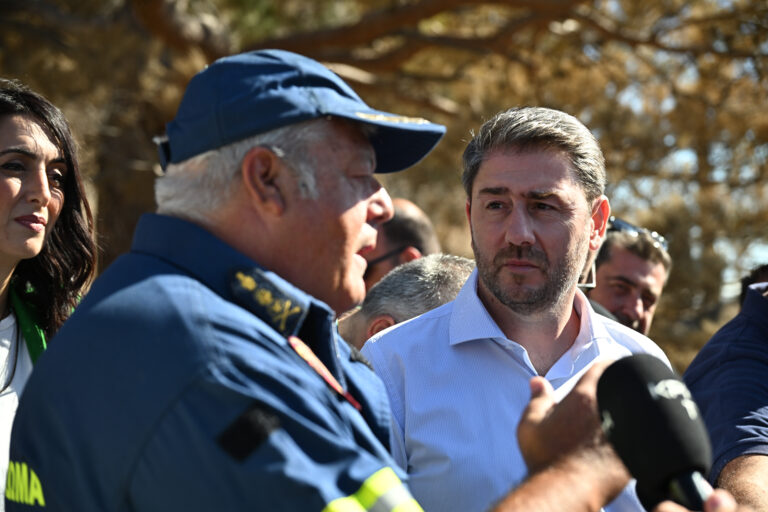 Ανδρουλάκης από Ιεράπετρα: Άμεση κρατική στήριξη και αποκατάσταση των ζημιών από τη φωτιά