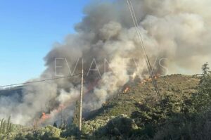 Μεσοχώρια Εύβοιας: Εφιαλτική νύχτα, κοντά στα σπίτια οι φλόγες – Μήνυμα 112 για εκκένωση
