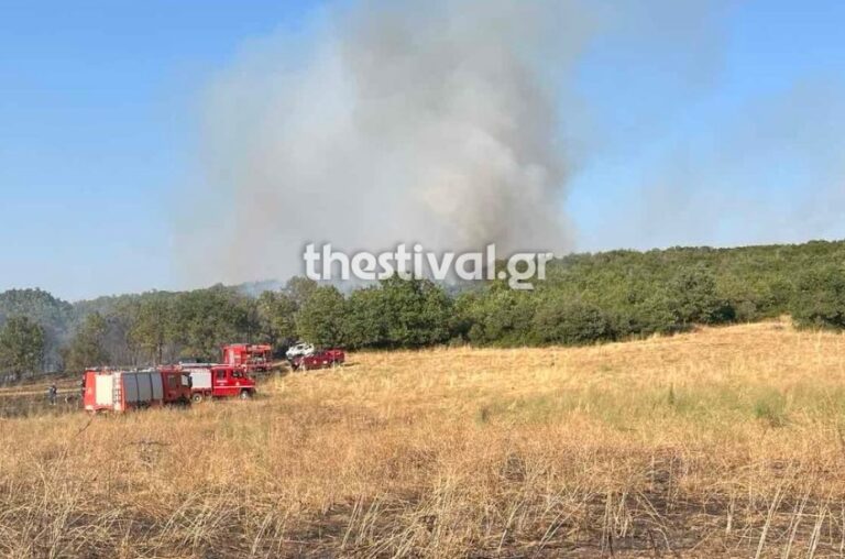 Φωτιά τώρα στο Φίλυρο Θεσσαλονίκης – Ήχησε το 112