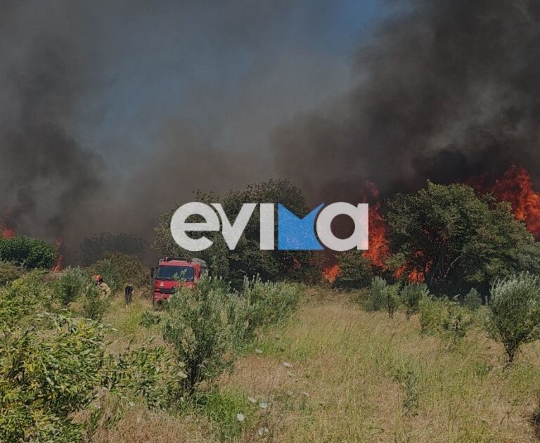 Εύβοια: Σύλληψη ατόμου για την πυρκαγιά στο Αλιβέρι