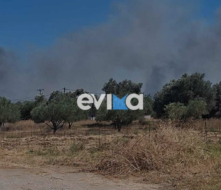 Φωτιά τώρα στην Εύβοια – Επιχειρούν και εναέρια μέσα