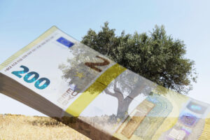 ΟΠΕΚΕΠΕ: Επιδοτήσεις για ελιές στο αεροδρόμιο της Ελευσίνας &#8211; Καταγγέλλουν τη σύζυγο πρώην αντιπροέδρου