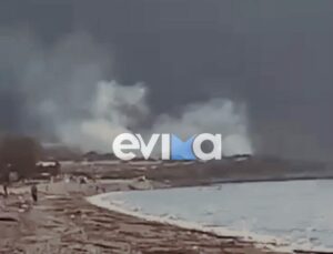 Φωτιά τώρα στην Εύβοια &#8211; Δυνατοί άνεμοι στην περιοχή (Video)