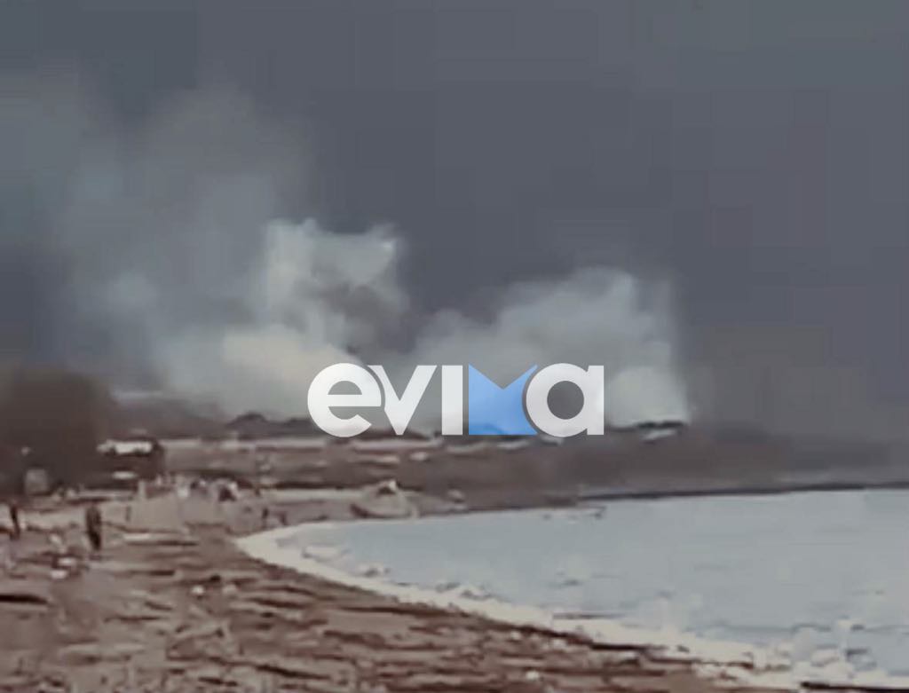 Φωτιά τώρα στην Εύβοια – Δυνατοί άνεμοι στην περιοχή (Video)