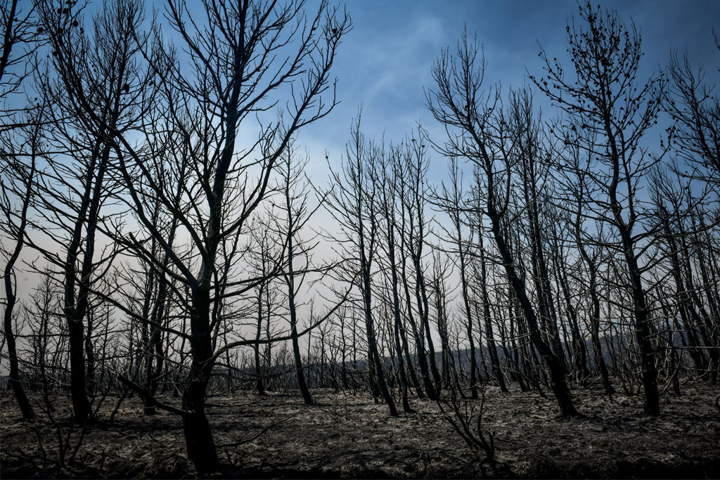 Meteo – Πυρκαγιές: Μεγάλη αύξηση της θερμοκρασίας του εδάφους όταν καίγονται τα δάση