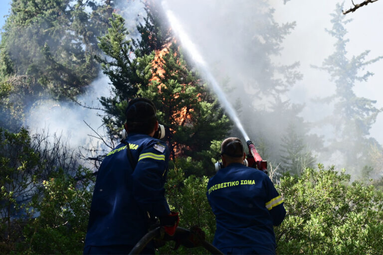 Φωτιά τώρα στις Σέρρες – Σε αγροτοδασική έκταση