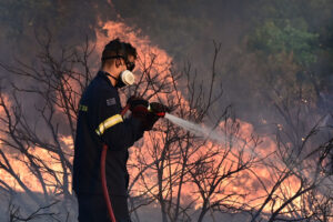 Κοζάνη: Σε εξέλιξη επιχείρηση κατάσβεσης πυρκαγιάς – Σύλληψη υπόπτου για εμπρησμό