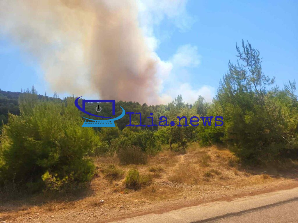 Αμαλιάδα: Ενισχύονται οι δυνάμεις πυρόσβεσης στο Γεράκι