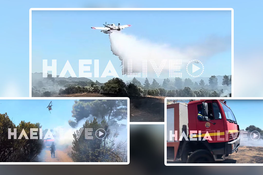 Αρχαία Ολυμπία: Φωτιά ξέσπασε στην Κάμενα – Τέθηκε υπό έλεγχο (Video)