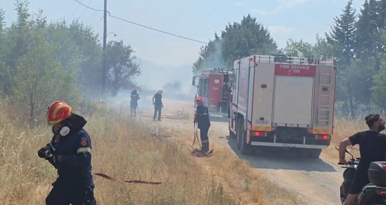 Φωτιά στην Κοζάνη: Εκκενώθηκε το Πανεπιστήμιο – Μήνυμα από το 112 (Videos)