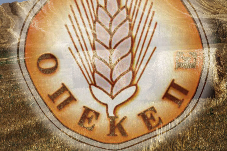 ΟΠΕΚΕΠΕ: Κοινοποιήθηκε σήμερα πειθαρχική ποινή στην Π. Τυχεροπούλου που έκανε αποκαλύψεις για το σκάνδαλο