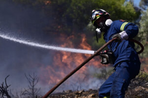Χαλκιδική: Σύλληψη 45χρονου για τη μεγάλη φωτιά στη Βουρβουρού