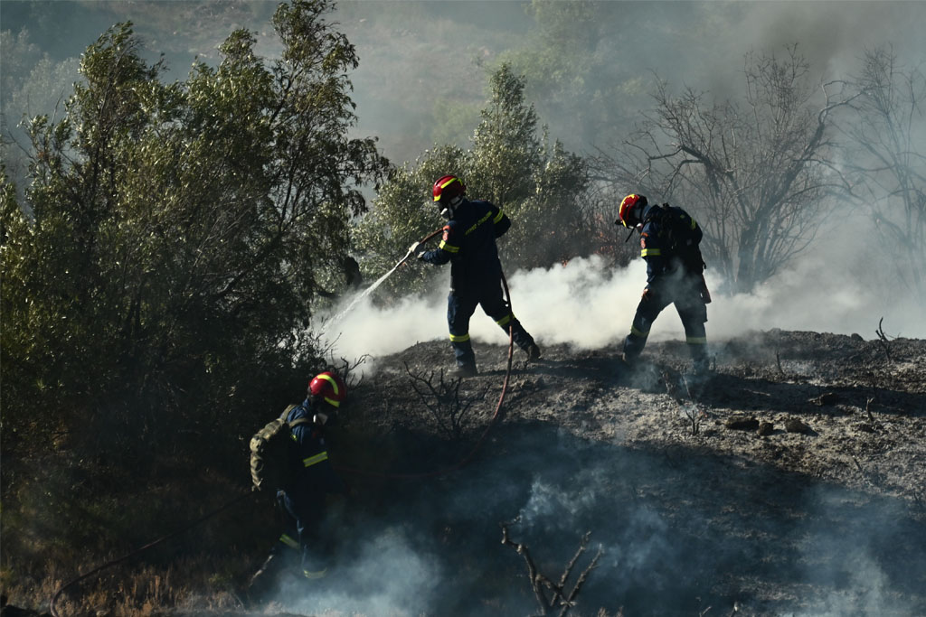 Φωτιά τώρα στη Ραφήνα – Καίει χαμηλή βλάστηση