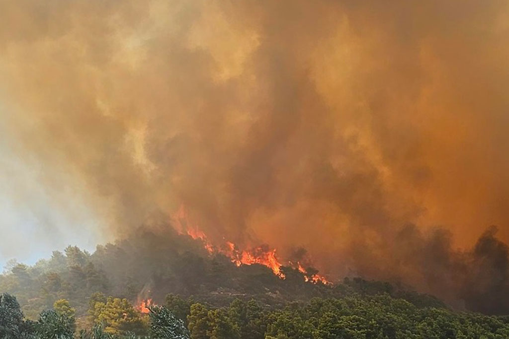 Φωτιά στη Ραφήνα: Μήνυμα από το 112 για τρεις περιοχές – «Απομακρυνθείτε προς γήπεδο Αρτέμιδας»